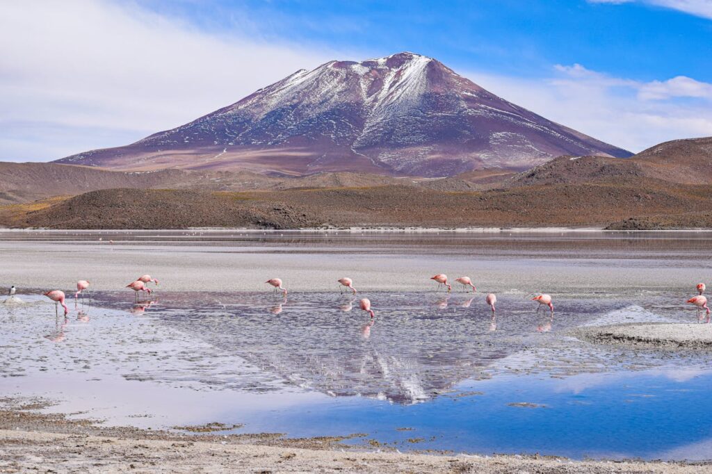 Boliva